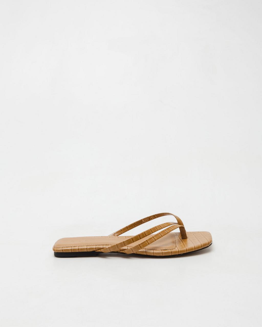 Tagtraume Cotton-17 - Brown(ºê¶ó¿î)