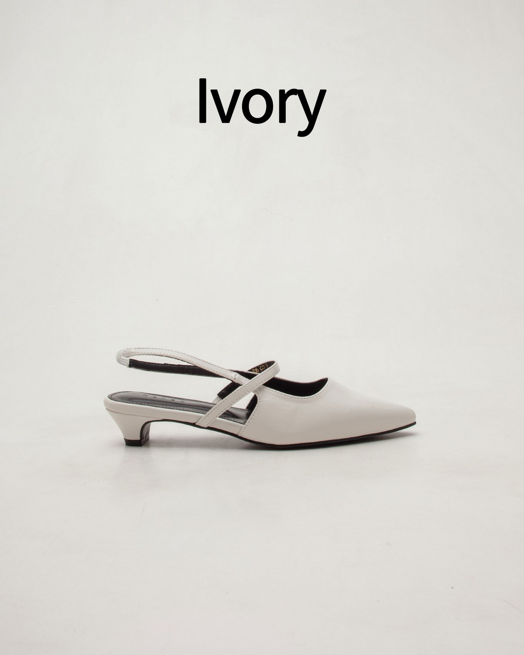 GLYD Cello-56 - Ivory(¾ÆÀ̺¸¸®)