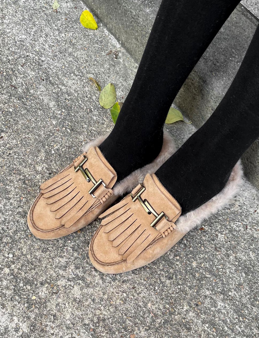 GLYD Count-97 - Beige(º£ÀÌÁö)