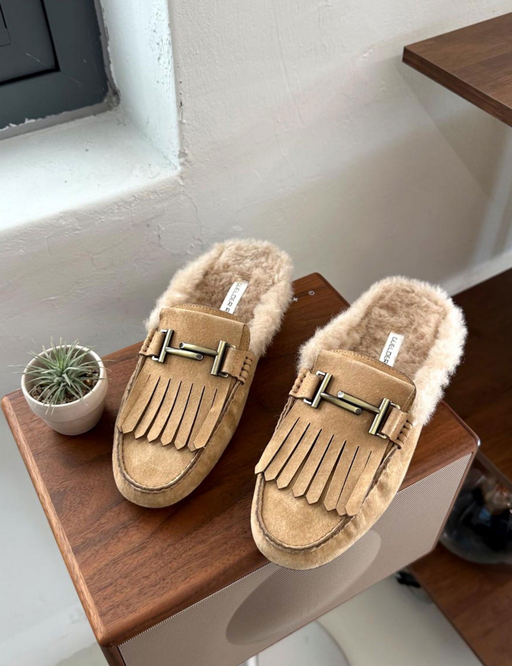 GLYD Count-97 - Beige(º£ÀÌÁö)