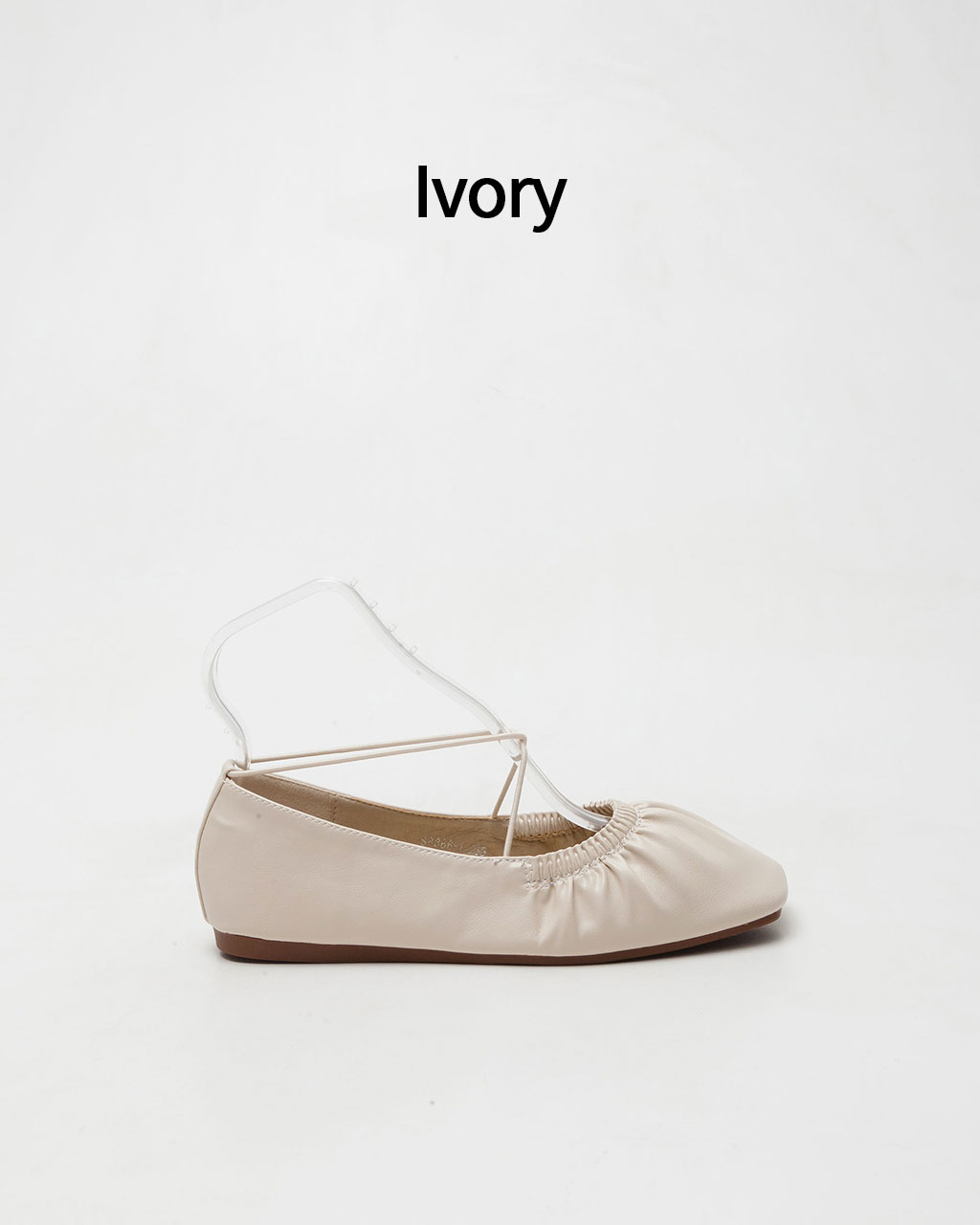 Zoo - Ivory(̺)